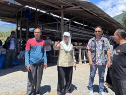 Pengawu Menyimpan Potensi Peternakan, Terdapat 200 Ribu Ayam Petelur