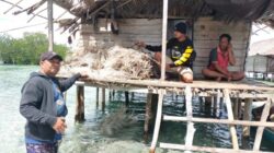 Polisi Membongkar Perdagangan Bambu Laut di Banggai Laut, 2 Ton Babuk Diamankan