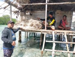 Polisi Membongkar Perdagangan Bambu Laut di Banggai Laut, 2 Ton Babuk Diamankan