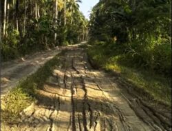 Rencana Pengelolaan Pulau Widi Maluku Utara, Warga Siap Boikot Total