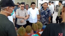 Target Ekspor Durian Berkelanjutan, Parimo Perketat Standar Kualitas