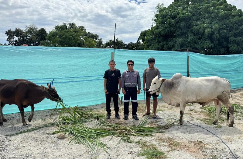Trinusa Group Salurkan Puluhan Hewan Kurban di Morowali Utara hingga Kota Palu