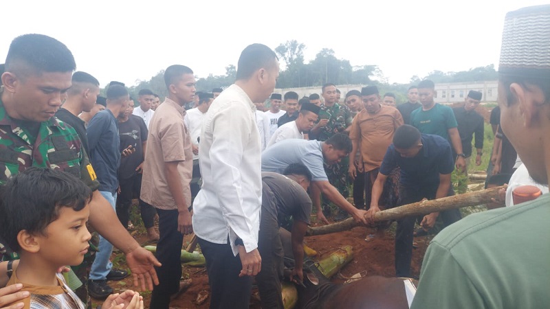 Yonif TP 825 GYS Sembelih 4 Ekor Sapi Kurban di Iduladha 2026