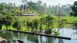 Desa BRILiaN Ketapanrame, Bukti Pemberdayaan Berbasis Potensi Lokal, Ciptakan Ekonomi Desa yang Maju dan Berkelanjutan