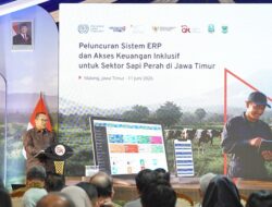 OJK dan ILO Tingkatkan Akses Pembiayaan Peternak Sapi Perah, Luncurkan Enterprise Resource Planning
