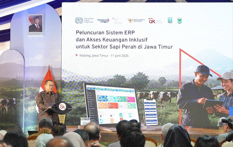 OJK dan ILO Tingkatkan Akses Pembiayaan Peternak Sapi Perah, Luncurkan Enterprise Resource Planning,