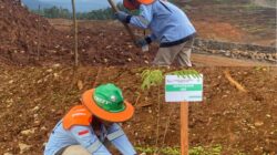 PT BCPM Komitmen Reklamasi Lahan Pascatambang dan Pastikan Tumbuh Optimal