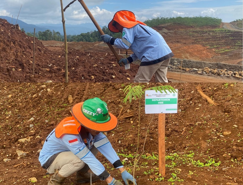 PT BCPM Komitmen Reklamasi Lahan Pascatambang dan Pastikan Tumbuh Optimal