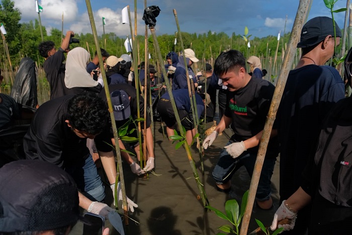 Telkomsel Tanam 2000 Pohon Mangrove di Pesisir Mapane Tambu Donggala