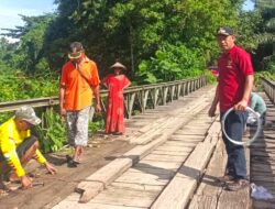 Benahi Jembatan Kayu Polo Morowali, Kades Harapan Jaya: Sambil Menunggu Proyek Daerah