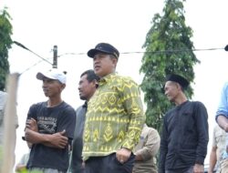 Bupati Morowali Turun Sawah, Uji Rotavator di Witaponda