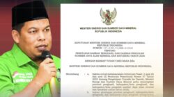 Kritik Keputusan Menteri ESDM, Safri: Morowali–Morut Diperlakukan Tidak Adil!