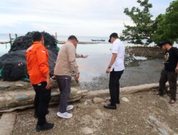 Abrasi Pantai di Desa Palasa, Bupati Parimo Instruksikan Penanganan Segera