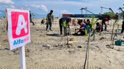 Alfamidi Aksi Bersih dan Tanam Mangrove di Pesisir Pantai Mamboro Palu
