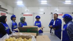BPKP Visitasi Lapangan Komoditas Unggulan di Parigi Moutong, Sinergi Kemenpar Dorong Investasi Hijau
