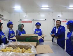 BPKP Visitasi Lapangan Komoditas Unggulan di Parigi Moutong, Sinergi Kemenpar Dorong Investasi Hijau