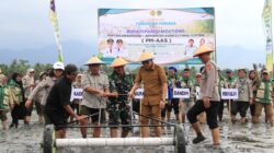 Modernisasi Pertanian Parimo Dimulai dari Desa Mertasari, Bupati Erwin Burase Pimpin Gerakan Tanam Padi Perdana