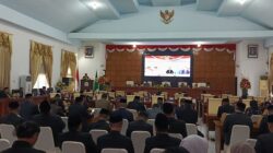 Realisasi Pendapatan Kabupaten Tolitoli 2025 Tak Capai Target, Silpa Rp33,64 Miliar