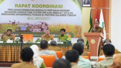 Sulteng Target Produktivitas Padi 6 Ton Per Hektare