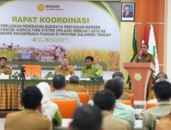 Sulteng Target Produktivitas Padi 6 Ton Per Hektare
