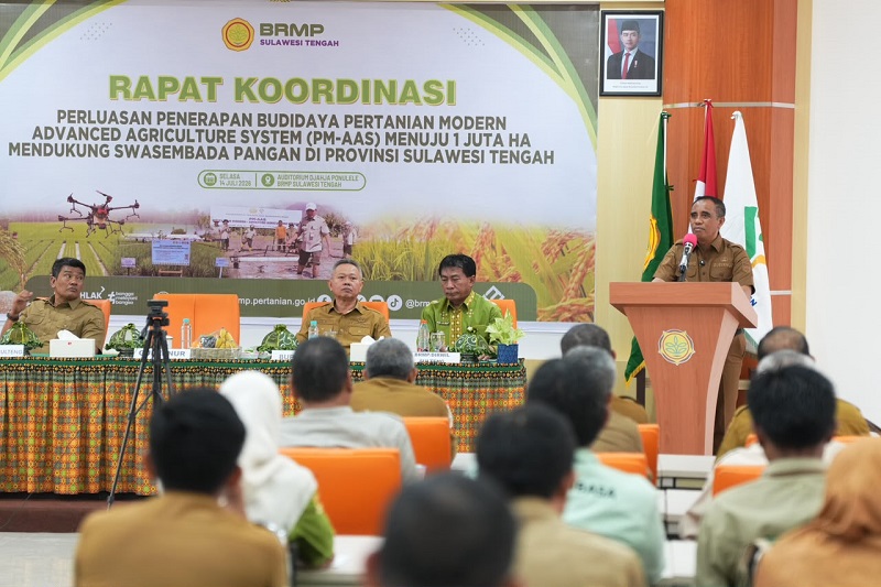 Sulteng Target Produktivitas Padi 6 Ton Per Hektare