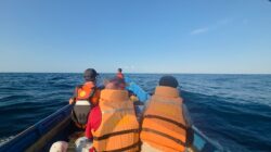 Wiranto Hilang Kontak saat Memancing di Perairan Kasuari Banggai Laut