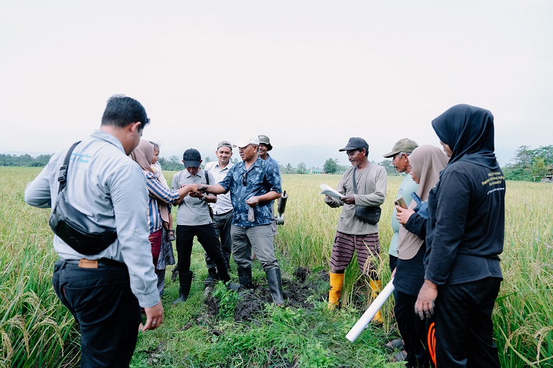 PT Vale Inisiasi Revitalisasi Pengendalian Hama Tikus Terpadu dan Konservasi Burung Hantu di Morowali