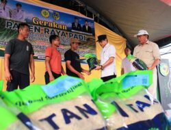 Parimo Perkuat Swasembada Pangan, Gencarkan Gerakan Panen Raya dan Bantuan Benih