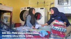 Berkat Holding Ultra Mikro, Pemilik Laundry di Kalimantan Ini Sukses Kembangkan Usaha dari Mekaar jadi BRILink Agen