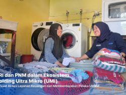 Berkat Holding Ultra Mikro, Pemilik Laundry di Kalimantan Ini Sukses Kembangkan Usaha dari Mekaar jadi BRILink Agen