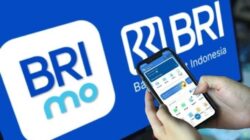 DPK BRI Capai Rp1.580 Triliun dan Didominasi CASA