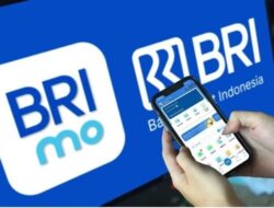 DPK BRI Capai Rp1.580 Triliun dan Didominasi CASA