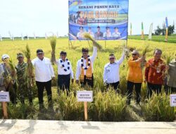 Gubernur Sulteng Dorong Toili Jadi Percontohan Pertanian Modern, Target Produktivitas 10 Ton per Hektare