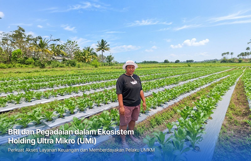 Holding Ultra Mikro Bawa Mur Dwi Astuti Sukses Jadi Petani di Merauke