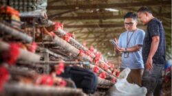 Indeks Bisnis UMKM BRI Triwulan II 2026 Tercatat 102,1, Ketahanan UMKM Terjaga