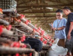 Indeks Bisnis UMKM BRI Triwulan II 2026 Tercatat 102,1,  Ketahanan UMKM Terjaga