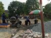 Muncul Proyek Siluman di Kalangkangan Tolitoli, Jalan Cor Beton Dikerjakan Tanpa Papan Anggaran