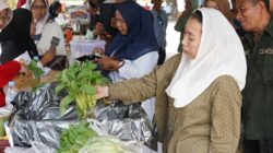 Pasar Tani di HUT Ke-48 Kota Palu, Hadirkan 50 Jenis Komoditas Pertanian dan Pangan