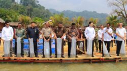 DKP Sulteng Minta Evaluasi Penebaran Ikan Nila di Danau Poso