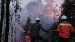 Gakkum Kehutanan Sulawesi Ingatkan Risiko Karhutla: Buka Lahan Harus Berizin