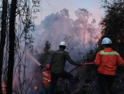 Gakkum Kehutanan Sulawesi Ingatkan Risiko Karhutla: Buka Lahan Harus Berizin