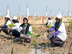 Lindungi Pantai Utara Jawa dari Abrasi Melalui Program BRI Peduli, BRI Menanam 30 Ribu Bibit Mangrove