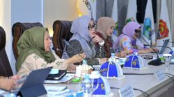 Wagub Reny Minta Pemerintah Pusat Perkuat Layanan Kesehatan di Sulteng