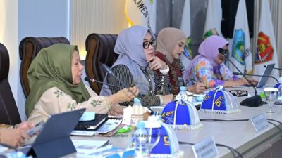 Wagub Reny Minta Pemerintah Pusat Perkuat Layanan Kesehatan di Sulteng