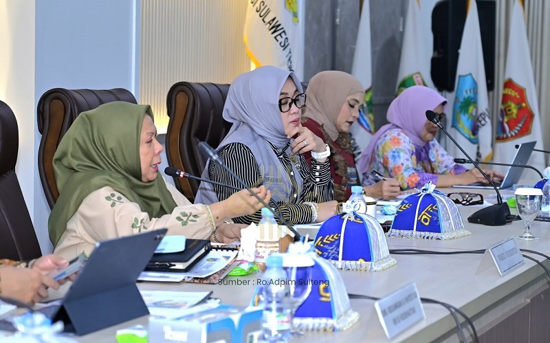 Wagub Reny Minta Pemerintah Pusat Perkuat Layanan Kesehatan di Sulteng
